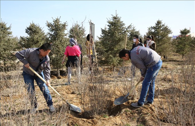 全園義務(wù)植樹(shù)1.JPG